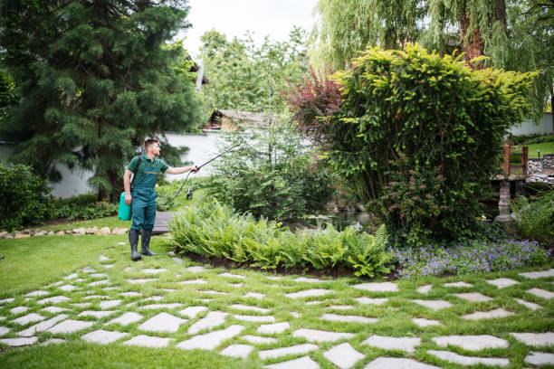 Best Mosquito Control Services  in Hebron, PA