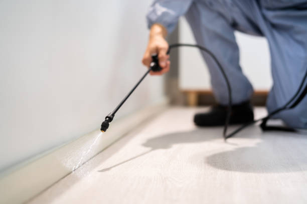 Best Pest Removal Services  in Hebron, PA