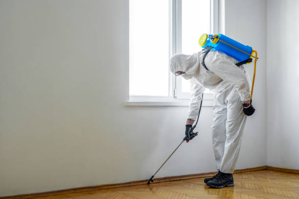Best Pest Inspection Near Me  in Hebron, PA